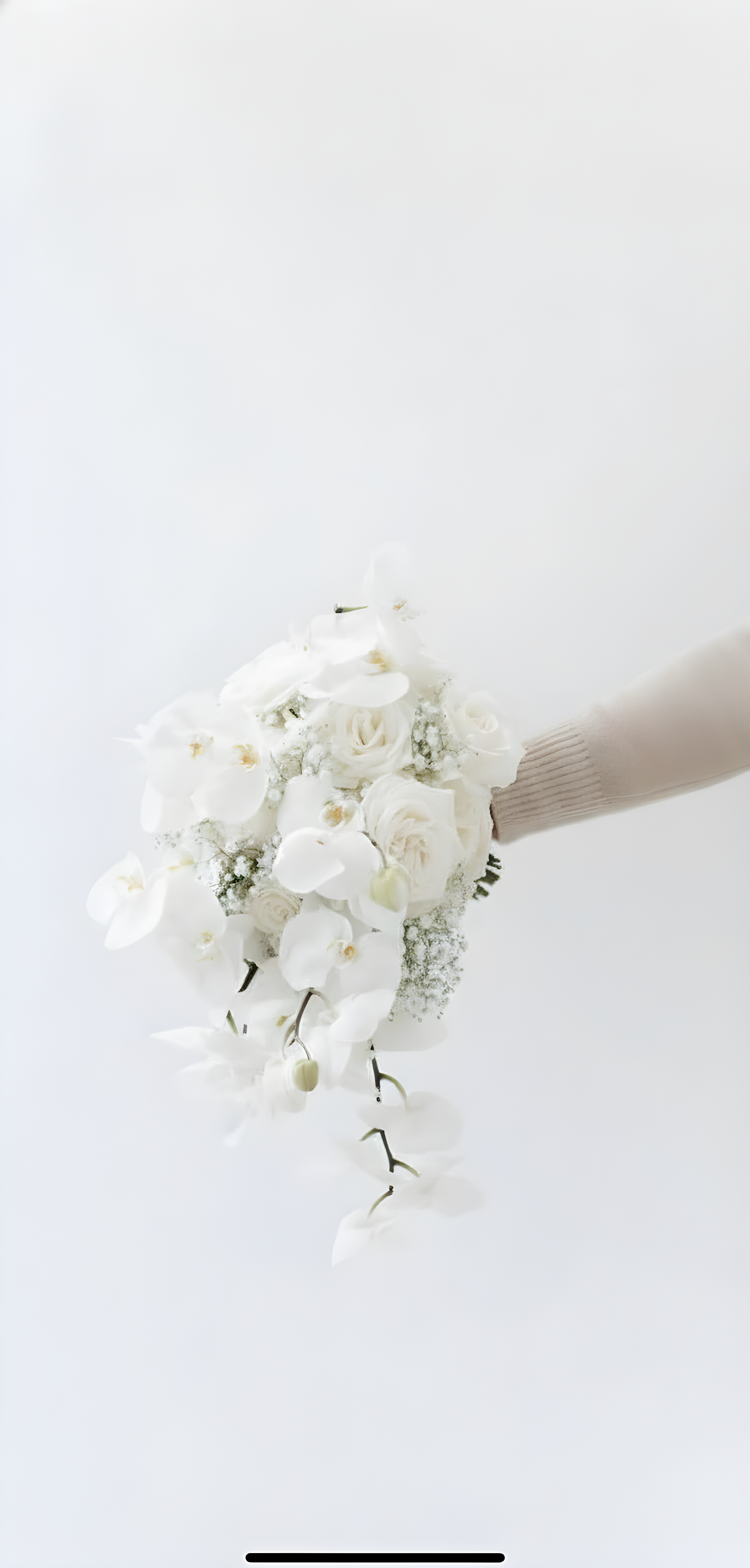 MB-9 Bouquet de Steph