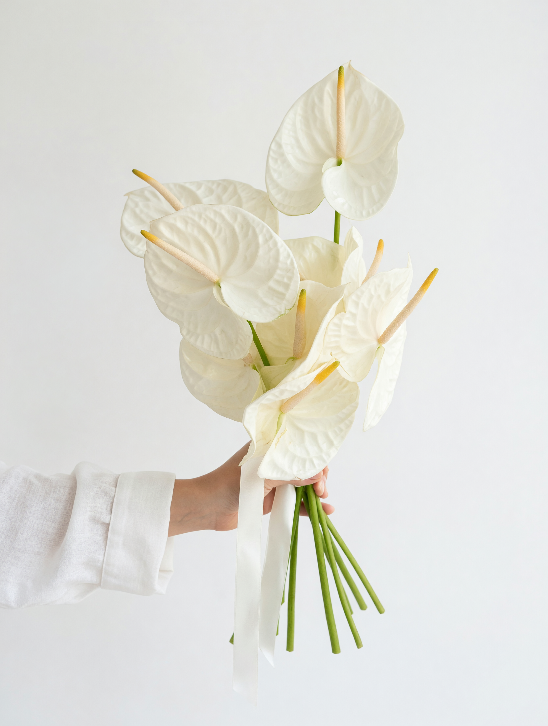 MB-11 Bouquet de Myriam