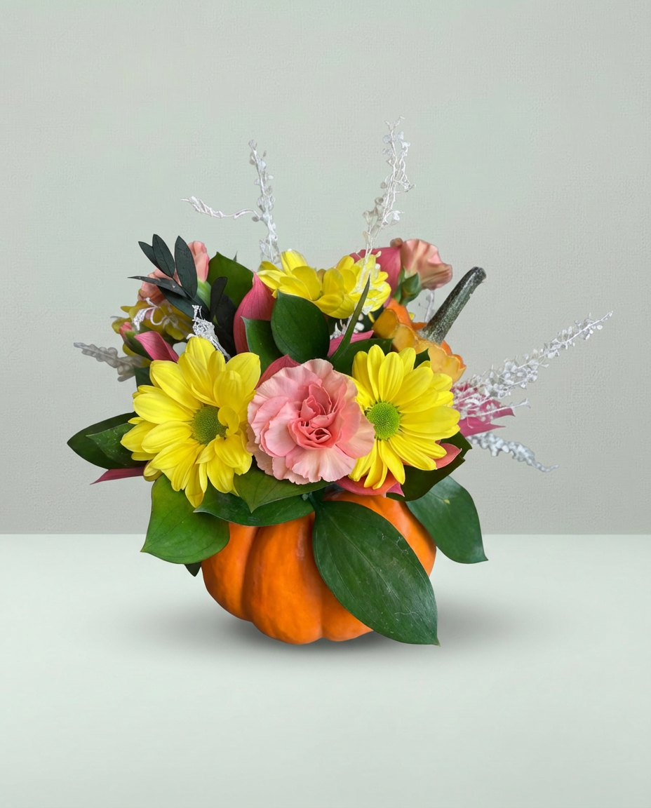 BO-50 Citrouille – Choix du fleuriste