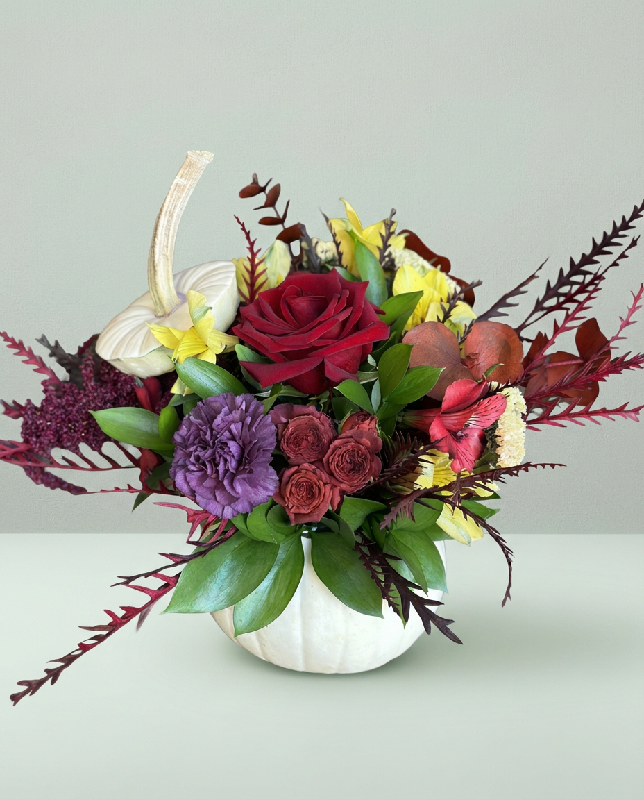 BO-50 Citrouille – Choix du fleuriste