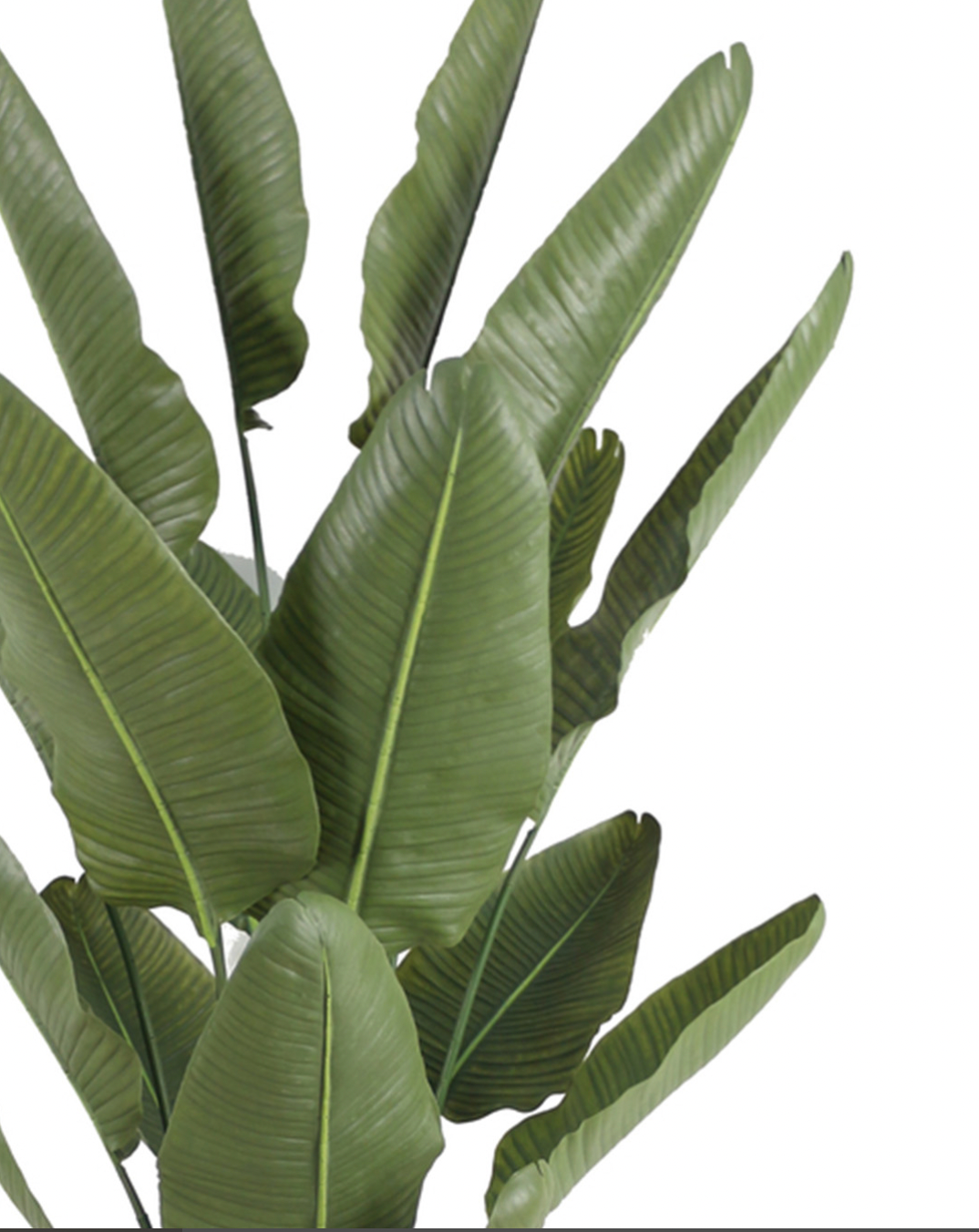 Plante Artificielle | Strelitzia 7'