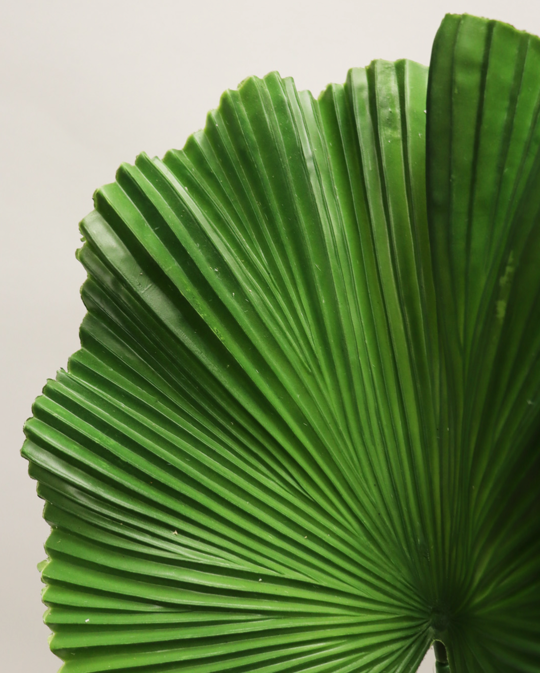 Plante Artificielle | Fan Palm 4'